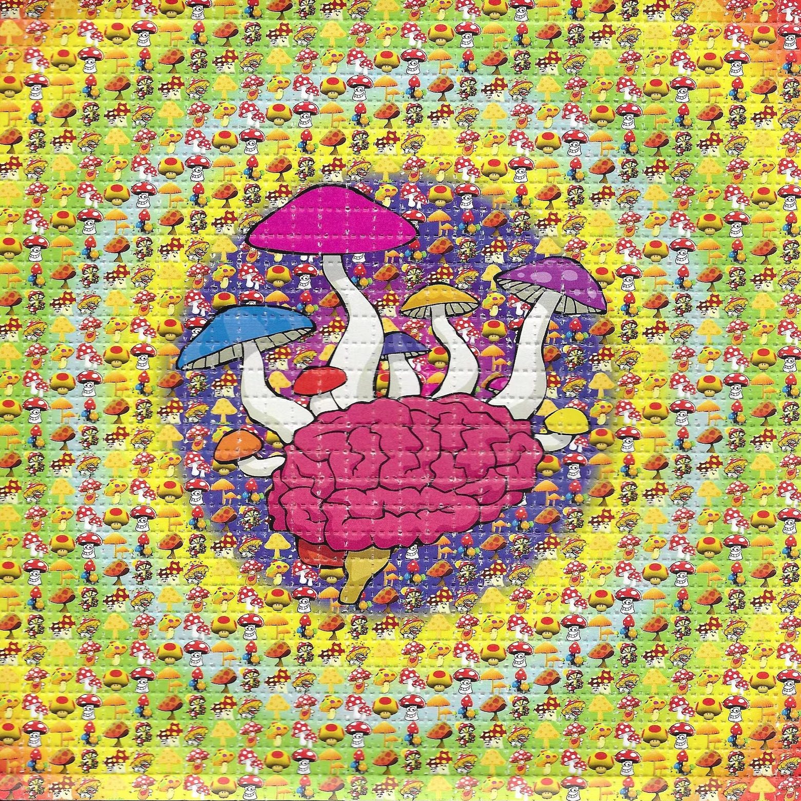 Buy LSD-25 Tabs Mushroom Brain Online in Canada - Buy MDMA Canada